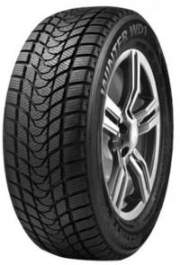 Delinte Winter WD1 195/55 R15 85H